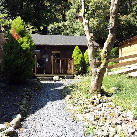 Bryn Dinas Camping Pods Ltd. Hotel Beddgelert Exterior foto