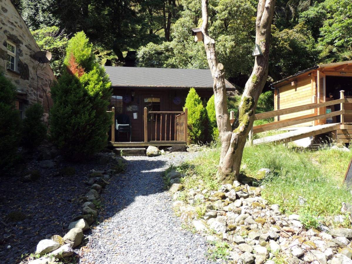 Bryn Dinas Camping Pods Ltd. Hotel Beddgelert Exterior foto