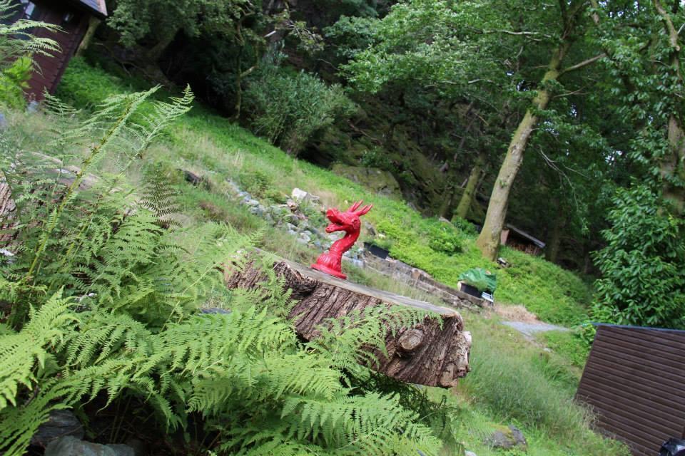 Bryn Dinas Camping Pods Ltd. Hotel Beddgelert Exterior foto